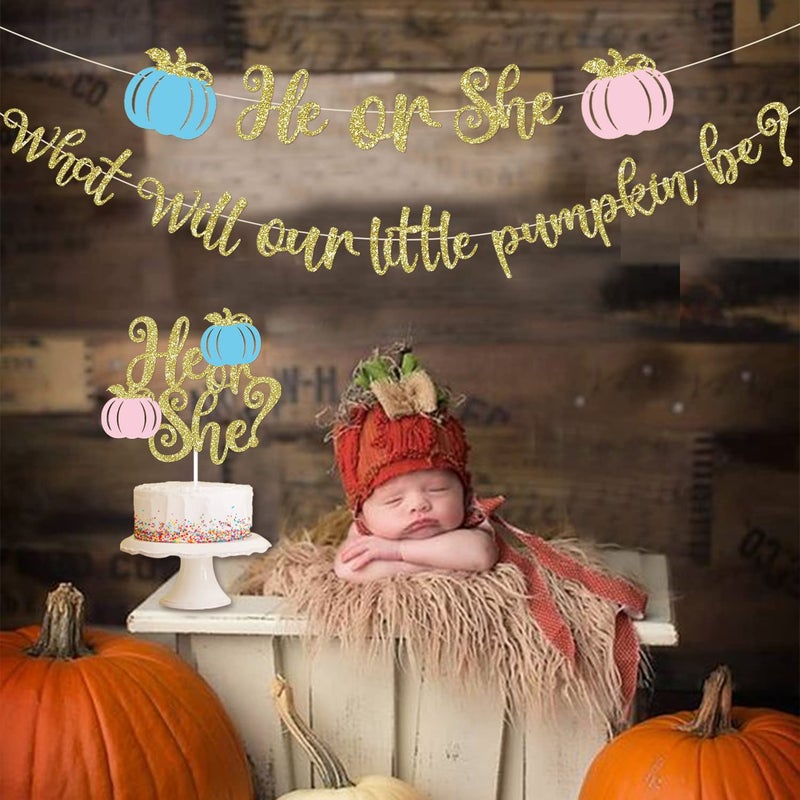 MZ.ogm Pumpkin Gender Reveal Decorations Fall Gender Reveal Decorations He or She What Will Our Little Pumpkin Be Banner He or She Cake Topper He or She Fall Baby Party Supplies - Image 2
